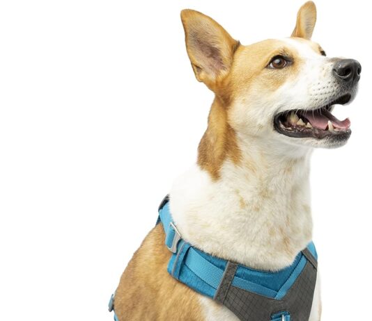 kurgo k01936 dog harness review