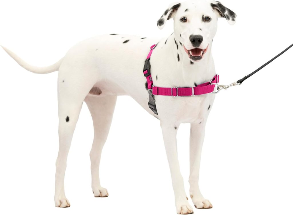 PetSafe Easy Walk No-Pull Dog Harness - The Ultimate Harness to Help Stop Pulling - Take Control  Teach Better Leash Manners - Helps Prevent Pets Pulling on Walks - Medium/Large, Raspberry/Gray