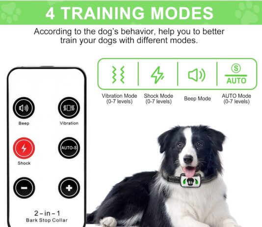 2024 upgrade bark collar review