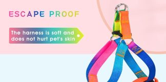 5 dog harnesses reviewed compared
