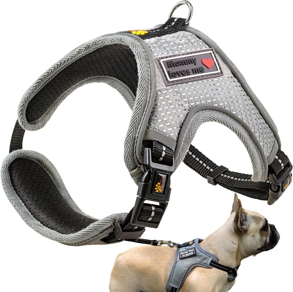 ADITYNA No Pull Dog Harnesses for Small Dogs - No Escape Dog Harness - Reflective and Soft Padded Harness - Easy Adjustable for Everyday Use