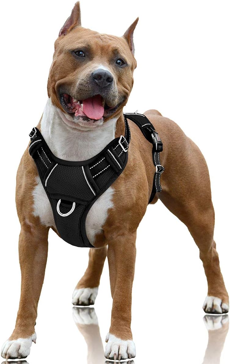 Comparing 5 No-Pull Dog Harnesses: A Comprehensive Review | My Dog Collar