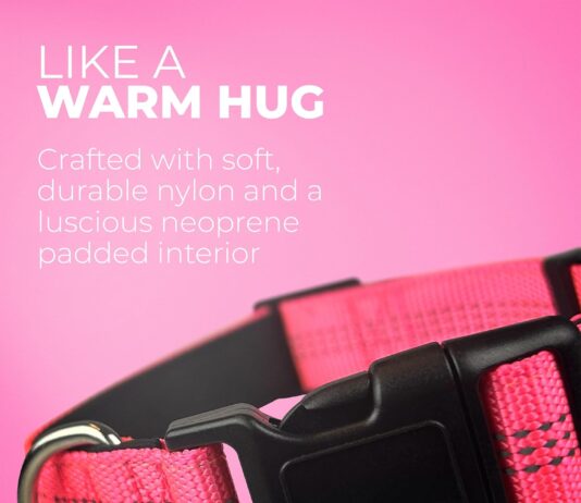 blazin color me happy reflective dog collar review