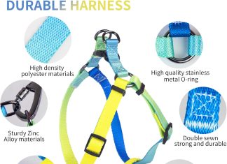 comparing 5 dog harnesses features comfort and control