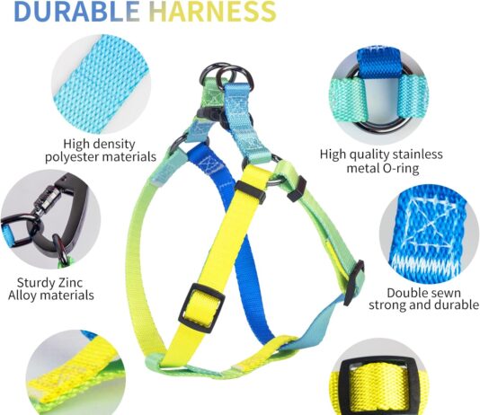 comparing 5 dog harnesses features comfort and control