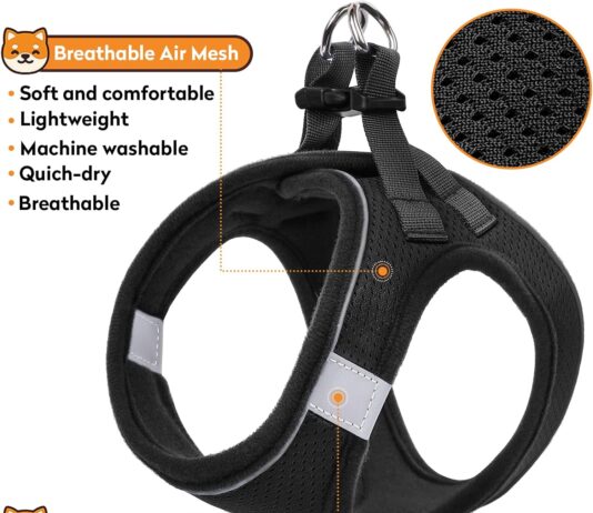 comparing 5 dog harnesses pwod peak pooch safetypup xd poypet and slowton
