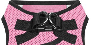 comparing 5 dog harnesses reviews analysis