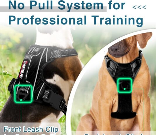 comparing 5 dog harnesses which one reigns supreme