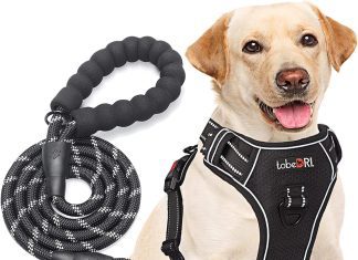 comparing 5 no pull dog harnesses a comprehensive review