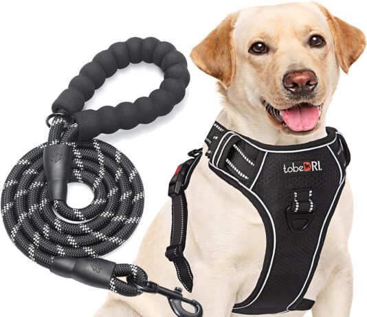 comparing 5 no pull dog harnesses a comprehensive review