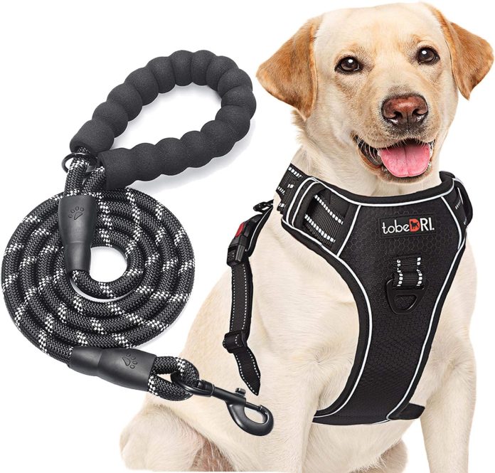 comparing 5 no pull dog harnesses a comprehensive review