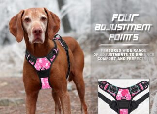 comparing 5 no pull dog harnesses which is the best fit