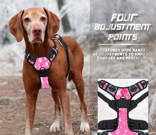 comparing 5 no pull dog harnesses which is the best fit
