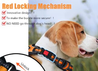 comparing 5 top rated dog harnesses which one is right for your pet