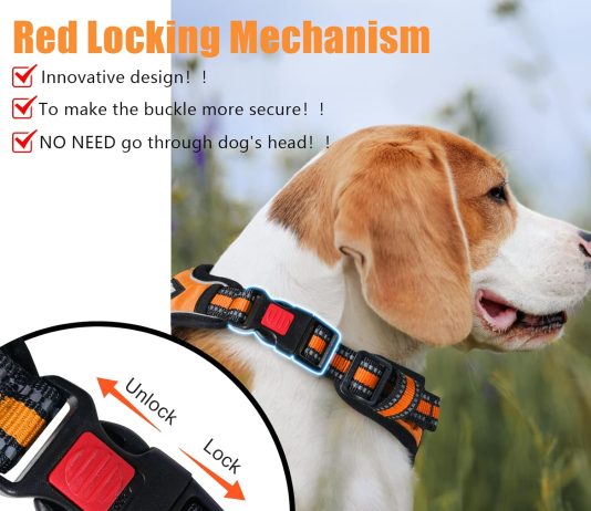 comparing 5 top rated dog harnesses which one is right for your pet