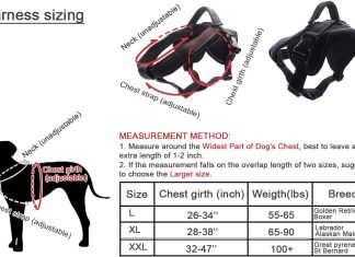 comparing heavy duty dog harnesses for large dogs
