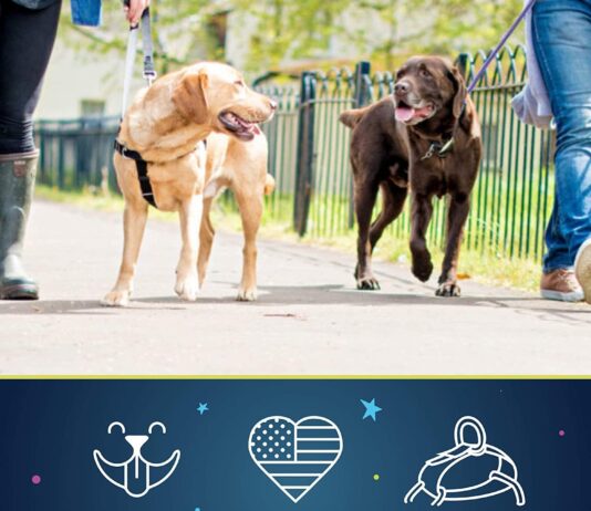 comparing top dog harnesses freedom joytale gorilla grip funfox
