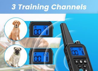 dog training collar review