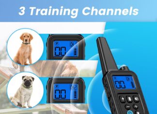 dog training collar review