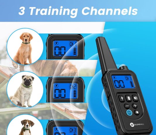dog training collar review