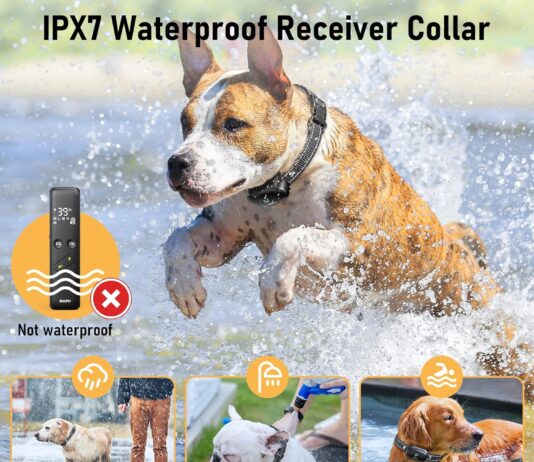 electric dog training collar review