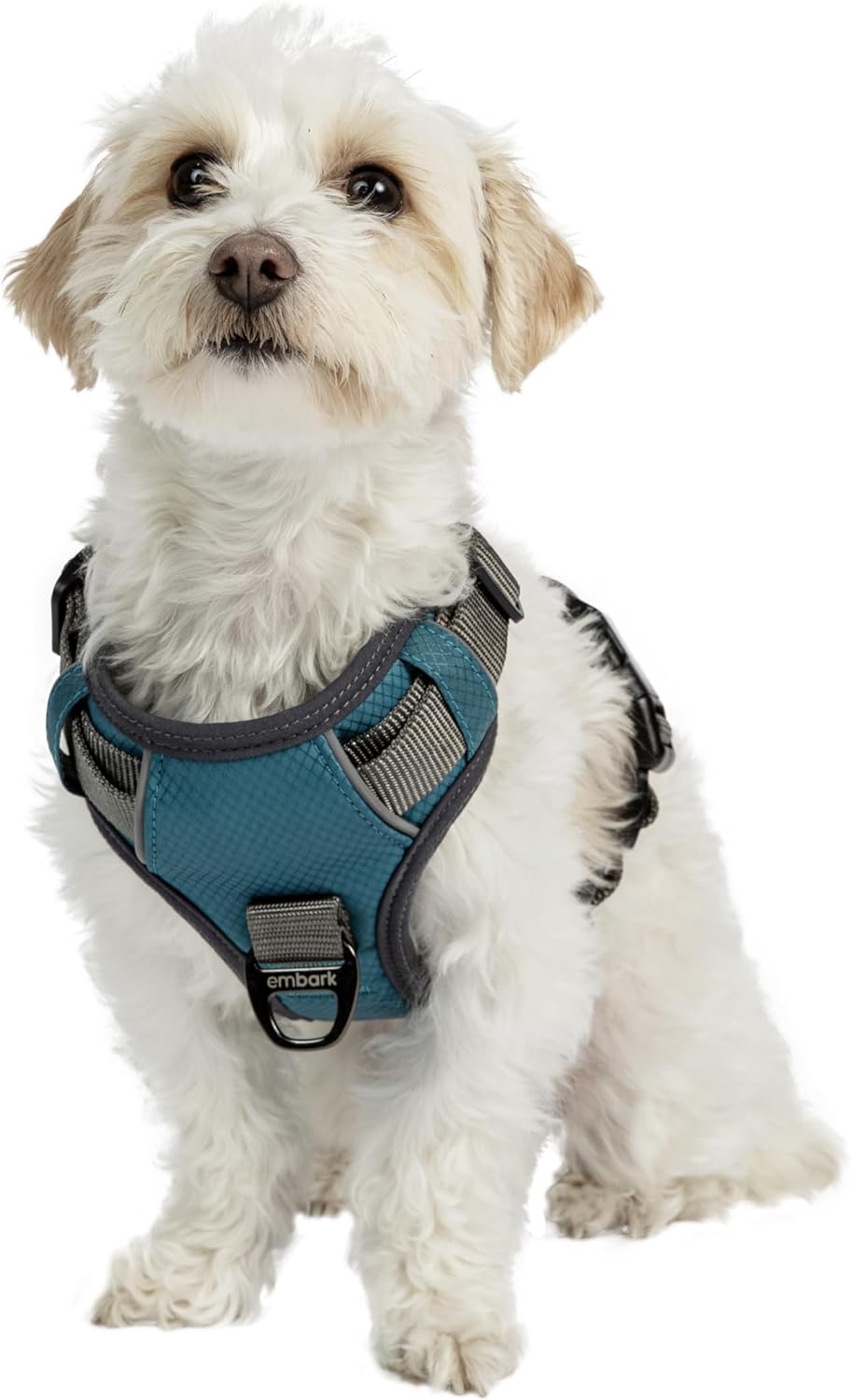 Embark Adventure Dog Harness No-Pull Dog Harness for Small Dogs, Medium  Large. 2 Leash Clips, Front  Back with Control Handle, Adjustable Blue Dog Vest for Any Breed, Soft  Padded for Comfort