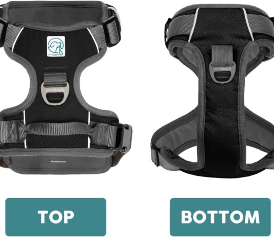 embark adventure dog harness no pull dog harness review