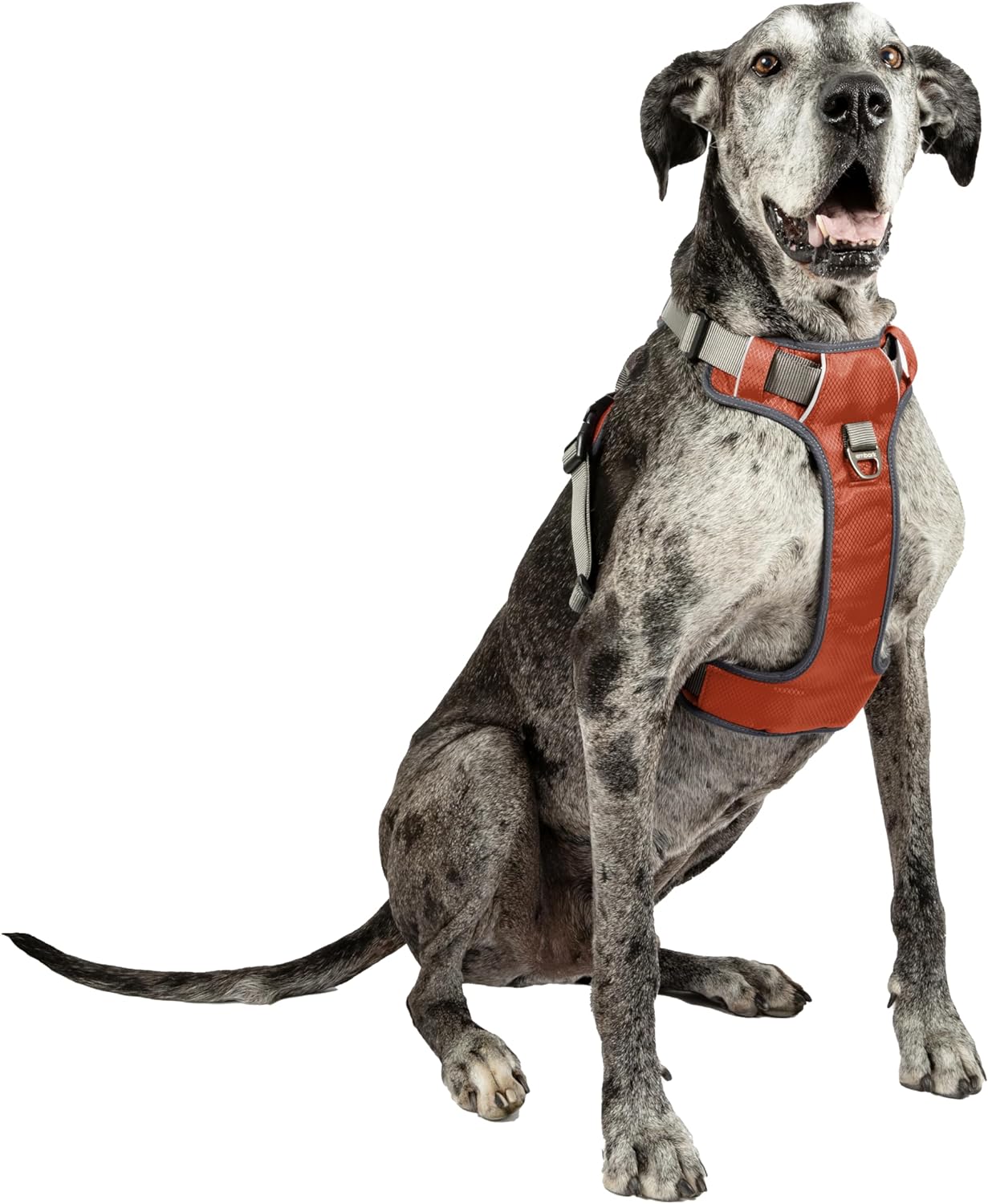 Embark Adventure XL Dog Harness No-Pull Dog Harnesses for Extra Large, Medium and Small Dogs. 2 Leash Clips, Front  Back with Control Handle, Adjustable Orange Dog Vest, Soft  Padded for Comfort