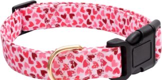 faygarsle cotton designer dogs collar review