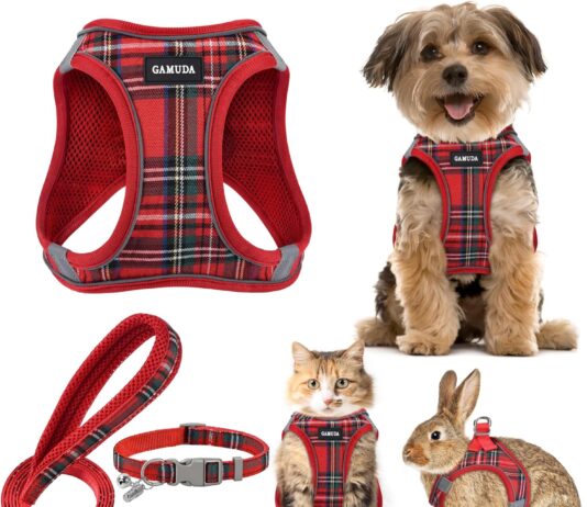 gamuda small pet harness collar review