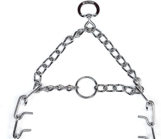 herm sprenger prong training collar review