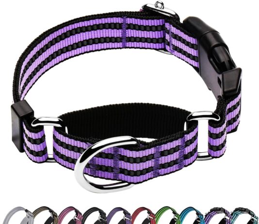 hikiko martingale dog collar review