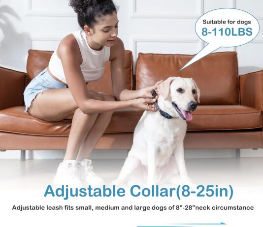 large dog training collar review