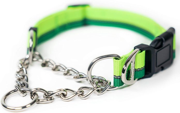 mighty paw martingale dog collar 20 review