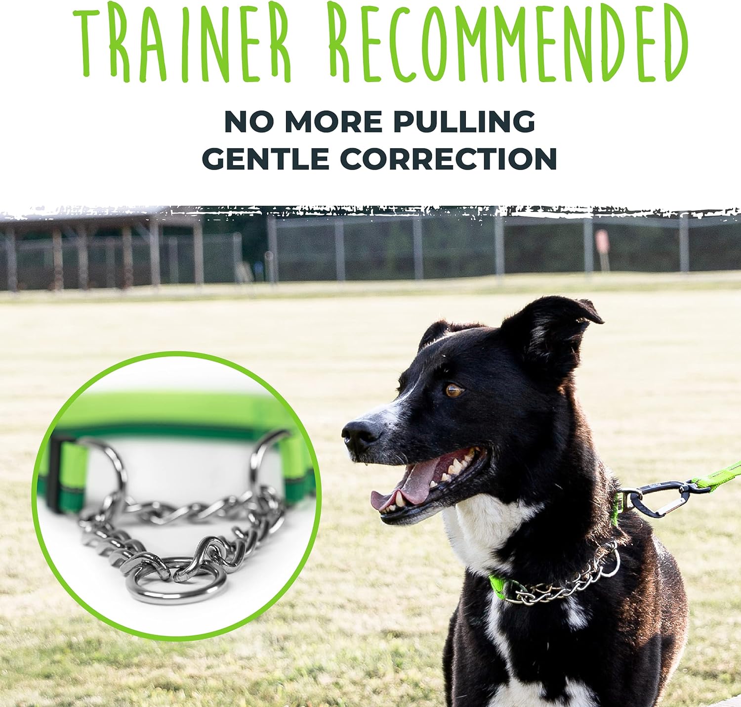 Mighty Paw Martingale Dog Collar 2.0 | Trainer Approved Limited Slip Collar with Stainless Steel Chain  Heavy Duty Buckle - Modified Cinch Collar for Gentle  Effective Pet Training - Large, Green