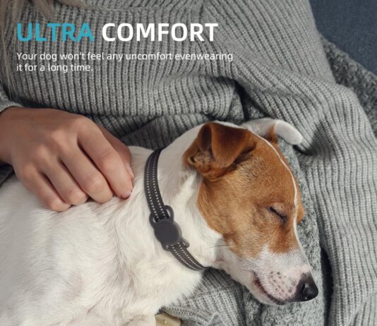 mini gps cat tracker review