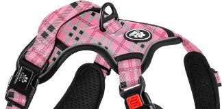 nestroad no pull dog harness review