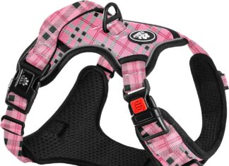 nestroad no pull dog harness review