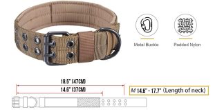 onetigris military dog collar review