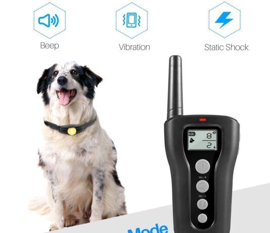 patpet dog training collar review