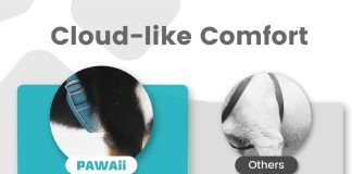 pawaii dog harness review
