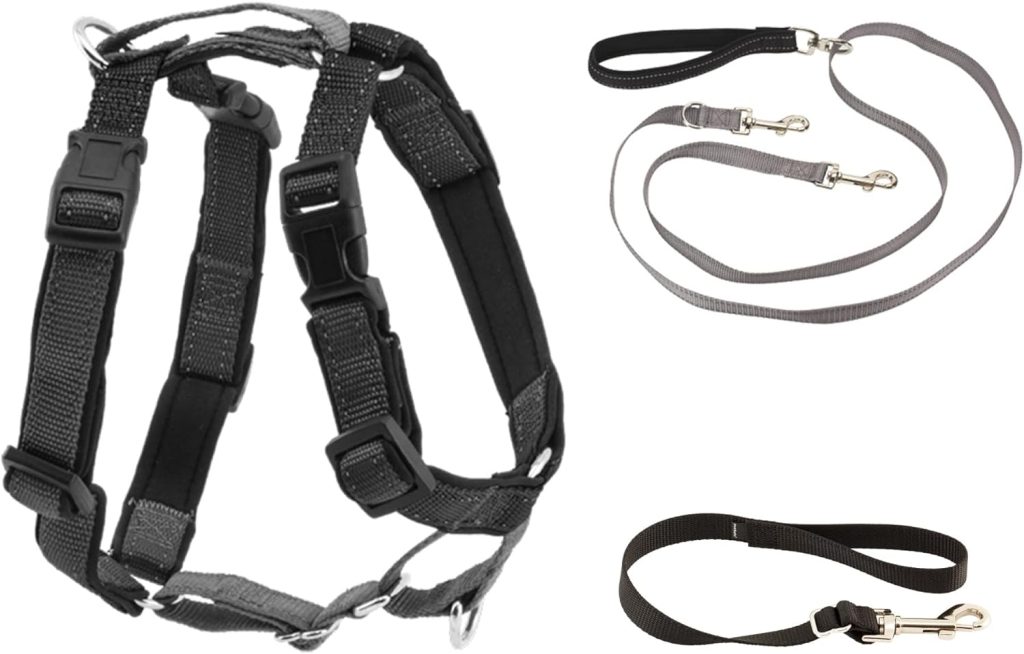 PetSafe 3 in 1 Harness with Two Point Control Leash, No-Pull Harness, Small, Black, Adjustable