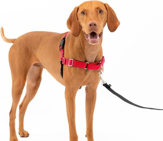 petsafe easy walk no pull dog harness review