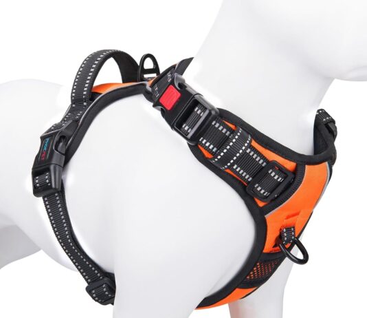 phoepet no pull dog harness review