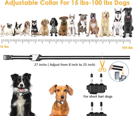 piouns dog shock collar review