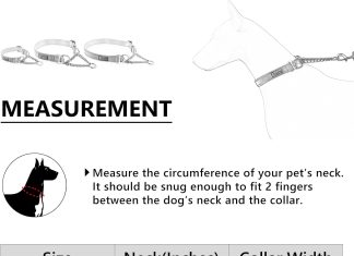plutus pet martingale dog collar review