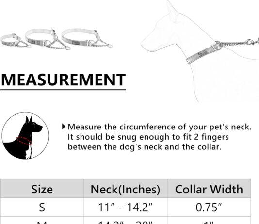 plutus pet martingale dog collar review