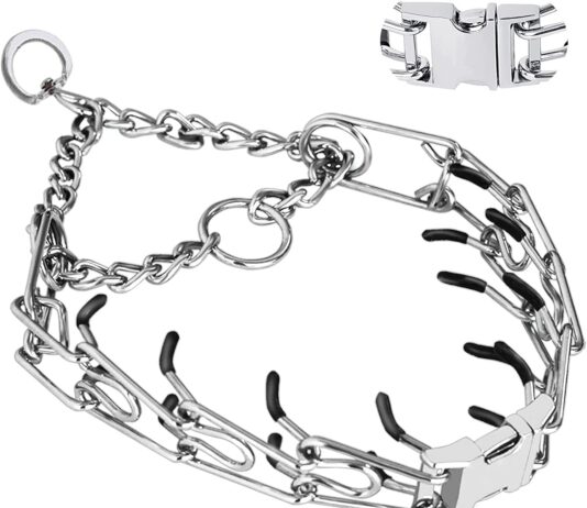 prong pinch collar review