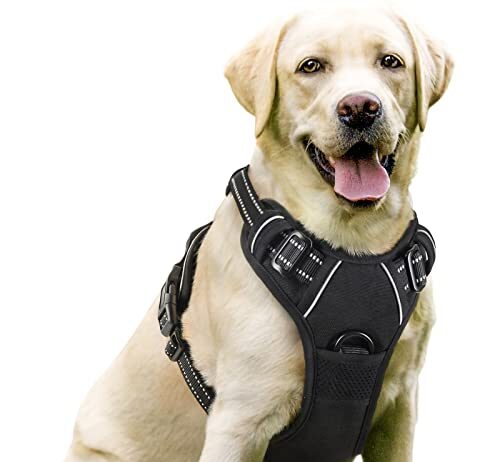 rabbitgoo Dog Harness, No Pull Pet Harness with 2 Leash Clips, Adjustable Soft Padded Dog Vest, Reflective No Choke Pet Oxford Vest with Easy Control Handle for Large Dogs, Black, L