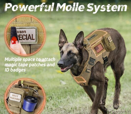 rabbitgoo tactical dog harness review